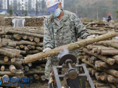 重慶云陽：啟動(dòng)80萬段黑木耳鉆孔工作 ()