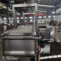 魚類解凍機(jī) 肉類解凍機(jī) 凍肉解凍線 解凍機(jī)廠家