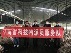 香菇平菇已賣1.2萬公斤！漯河醫(yī)專助力幫扶村很得力 ()