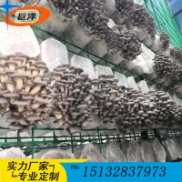 江西省食用菌栽培架 現(xiàn)代化大棚出菇架 食用菌規(guī)?；B(yǎng)殖出菇架