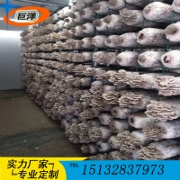 江西省綠色蘑菇網(wǎng)片 現(xiàn)代化大棚出菇網(wǎng)格架 食用菌規(guī)?；B(yǎng)殖架