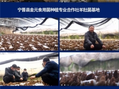 超1.78萬人次，3400條留言！2020第五屆全國羊肚菌大會圓滿結(jié)束 ()