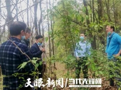 專家助力，冊亨縣確定首期2萬棒林下紅托竹蓀試點基地 ()
