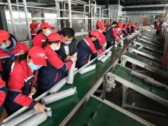 貴州水城縣啟動3000人食用菌產(chǎn)業(yè)技能提升培訓計劃 ()