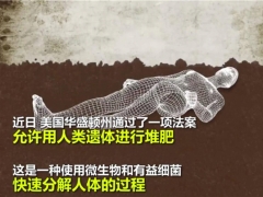 為什么“人體種蘑菇，用人體做堆肥”這么可怕的項(xiàng)目會被批準(zhǔn)？ ()