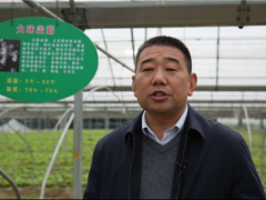 聚焦熱點(diǎn)  弘亞·2020第二屆中國大球蓋菇產(chǎn)業(yè)發(fā)展大會圓滿結(jié)束 ()