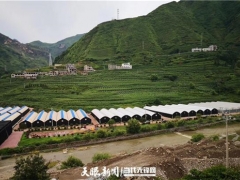 探秘！食用菌發(fā)展中的菌農(nóng)期待與產(chǎn)業(yè)鏈回應(yīng) ()