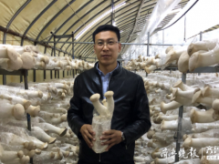 學(xué)機(jī)械的種起了蘑菇，膠州小伙跨界創(chuàng)業(yè)年產(chǎn)值三千多萬出口多國 ()