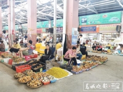 為菌瘋狂的時(shí)候到了！昆明野生菌大量上市 干巴菌最低300元/公斤 ()