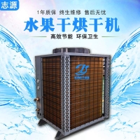 新升級熱泵水果干烘干機沒有點真才實學(xué)怎么行