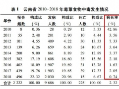 云南人嘗鮮見手青蘑菇能看到小精靈？這不好玩 還很嚴(yán)重 ()