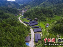 貴州臺(tái)江：香菇產(chǎn)銷旺 農(nóng)民喜增收 ()