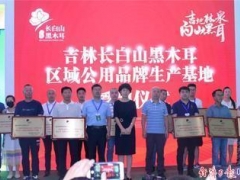 “吉林長白山黑木耳”區(qū)域公用品牌唱響農博會 ()