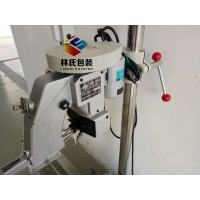 滑板縫包機(jī)FN600A
