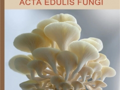 祝賀！《食用菌學(xué)報》進(jìn)入農(nóng)林領(lǐng)域我國高質(zhì)量科技期刊公示名單
