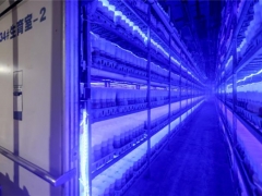 中國貧困農(nóng)民生產(chǎn)的食用菌可能成為人類“移民”太空的食物 ()