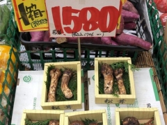 今年松茸季“異變”：對日出口滑坡 頂級松茸國內(nèi)熱賣——不僅因為疫情 ()