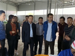 中國農(nóng)科院食用菌專家團隊前往略陽縣調(diào)研指導(dǎo)食用菌產(chǎn)業(yè)發(fā)展 ()