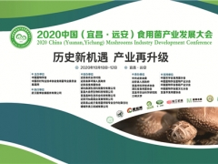 2020中國（宜昌·遠(yuǎn)安）食用菌產(chǎn)業(yè)發(fā)展大會購銷對接活動通知 ()