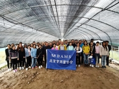 北京食用菌協(xié)會在河北組織召開食用菌現(xiàn)場觀摩會 ()