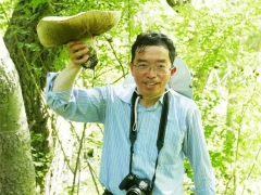 楊祝良研究員獲2020年云南“最美科技工作者”稱號 ()