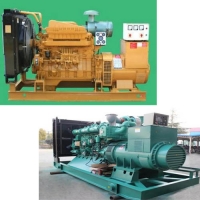 供青海柴油發(fā)電機(jī)出租和西寧租發(fā)電機(jī)