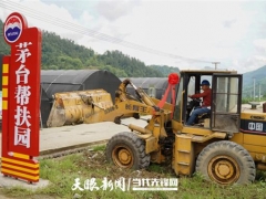 捐贈(zèng)100萬元擴(kuò)建10個(gè)食用菌大棚！道真這個(gè)茅臺(tái)幫扶園多了四川經(jīng)銷商的愛心力量 ()