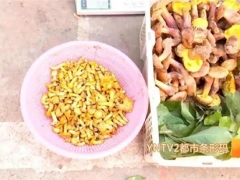云南：文山又有兩種野生菌上市！價(jià)格驚人！ ()
