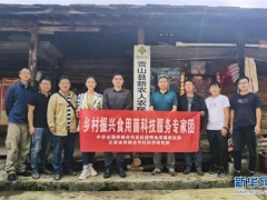 “鄉(xiāng)村振興食用菌科技服務(wù)專家團”赴怒江州開展科技服務(wù) ()