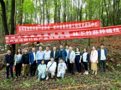 專家助力，貴陽市順海林場岔二巖林下紅托竹蓀種植基地成功開展種植技術(shù)培訓(xùn)會 ()