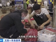 又到吃菌季！云南野生菌每天上市300多噸，當(dāng)?shù)匦l(wèi)健委發(fā)預(yù)警：謹(jǐn)防中毒！哪些菌子不能吃？ ()