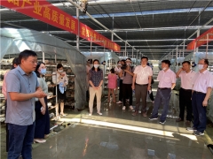 湖北隨縣召開食用菌“515”行動(dòng)現(xiàn)場觀摩培訓(xùn)會(huì) ()