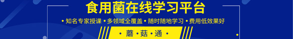 蘑菇世界，探無(wú)止境