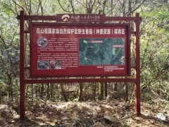浙江首個(gè)省級食用菌種質(zhì)資源庫在慶元縣建成并通過驗(yàn)收 ()
