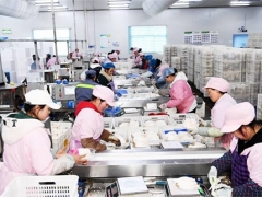 貴州大方：日產(chǎn)量達70噸，產(chǎn)值達60余萬元！工廠化種植食用菌助農(nóng)增收 ()