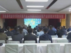 甘肅省天?？h開展食用菌實(shí)用技術(shù)專題培訓(xùn) ()
