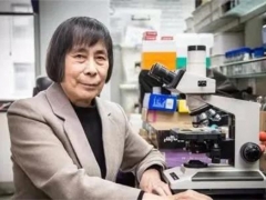 中國(guó)科學(xué)院院士、中科院微生物研究所研究員莊文穎：為認(rèn)識(shí)真菌付出畢生努力 ()