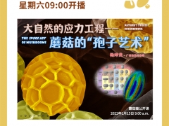 周六與您相約“大自然的應力工程——蘑菇的'孢子藝術(shù)'” ()