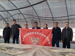 山東省科技特派員泰安市食用菌產(chǎn)業(yè)服務(wù)團走進新泰 專家“地頭論菌” 科技助農(nóng)致富 ()