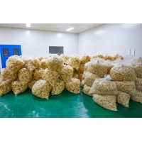 無(wú)公害銀耳常年供應(yīng)，干銀耳，銀耳鮮燉，銀耳花，雪菲寵耳