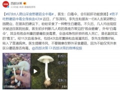 千萬別亂吃！好友6人爬山采食野蘑菇全中毒 ()