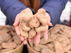 靈芝、天麻陸續(xù)解鎖“藥食同源” 對未來影響幾何？ ()