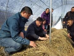 華中農(nóng)業(yè)大學邊銀丙教授赴仙桃、宜昌等地開展“鄉(xiāng)村振興荊楚行”工作 ()
