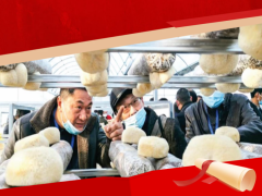 祝賀！“隨縣香菇種植工”上榜湖北省十大勞務(wù)品牌 ()