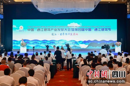 圖為大會開幕式現(xiàn)場。李小龍 攝