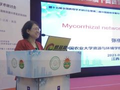 張俊伶：菌根共生體共生共棲，天作之合