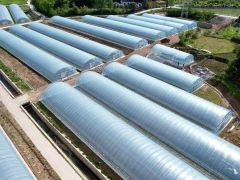 種植食用菌無大棚？這里有2.2萬平米現(xiàn)代化塑料大棚出租 ()