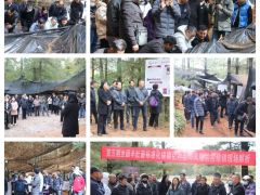 行業(yè)反響熱烈！第五期全國(guó)羊肚菌標(biāo)準(zhǔn)化規(guī)?；N植及風(fēng)險(xiǎn)防控培訓(xùn)班在云南玉溪舉行