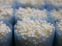 “數(shù)字金針菇”來了！海寧這里的農(nóng)民，有望增收1500萬 ()