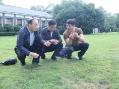 中國菌物學會理事長郭良棟一行深入井岡山農業(yè)科技園調研 (4)